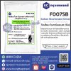 Sodium Bicarbonate (China) : โซเดียม ไบคาร์บอเนต (จีน)