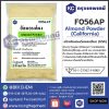 Almond Powder (California) : แป้งอัลมอนด์ผงละเอียด (USA)