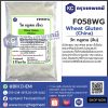 Wheat Gluten (China) : วีท กลูเตน (จีน)