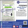 Wheat Gluten (China) : วีท กลูเตน (จีน)