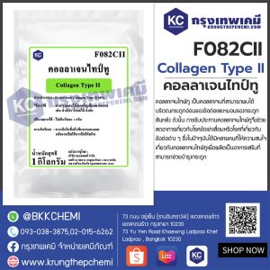 Collagen Type II : คอลลาเจนไทป์ทู