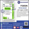 Beta Glucan (Innovacan) : เบต้า กลูแคน จากยีสต์