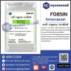 Beta Glucan (Innovacan) : เบต้า กลูแคน จากยีสต์