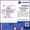Trehalose (China) : ทรีฮาโลส (จีน)