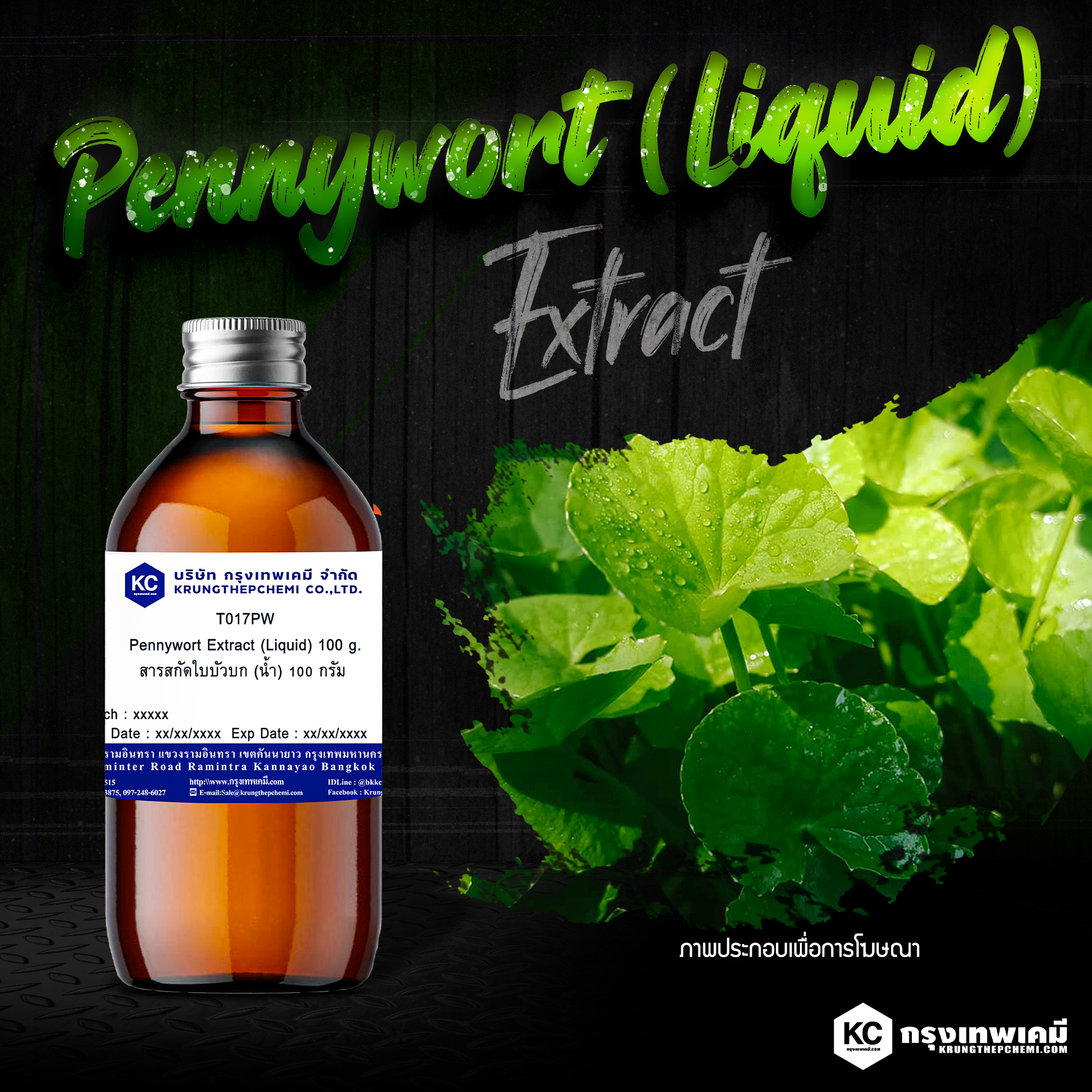 Pennywort Extract (Liquid) : สารสกัดใบบัวบก (น้ำ)