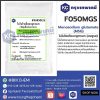 Monosodium Glutamate (MSG) : โมโนโซเดียมกลูตาเมท
