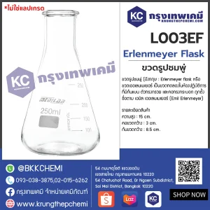 Erlenmeyer Flask : ขวดรูปชมพู่ - Image 3