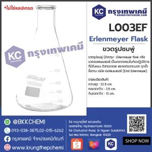 Erlenmeyer Flask : ขวดรูปชมพู่ - Image 5
