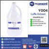 Y004-1KG_result