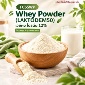 Whey Powder (LAKTODEM50) : เวย์ผง โปรตีน 12%